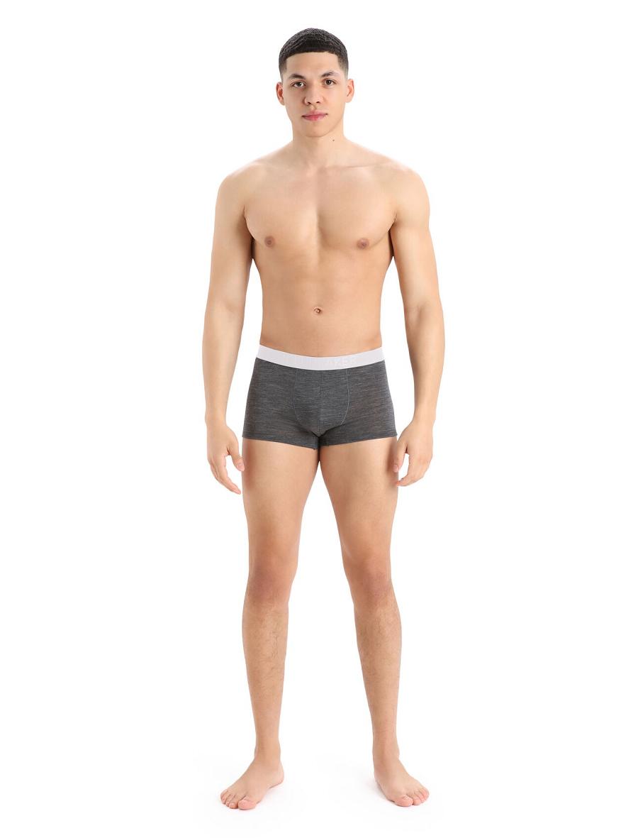 Sous Vêtement Icebreaker Cool-Lite™ Merino Anatomica Trunks Homme Taupe | FR 1288WNBY